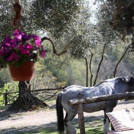 Вилла La Masseriola Agriturismo Caianello Vecchio Экстерьер фото