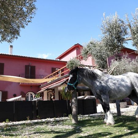 Вилла La Masseriola Agriturismo Caianello Vecchio Экстерьер фото