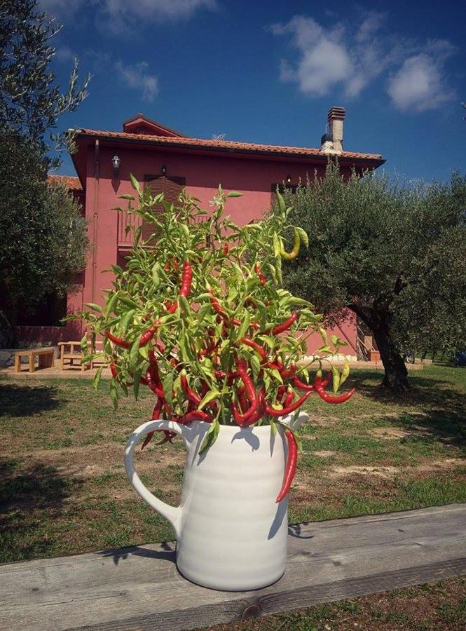 Вилла La Masseriola Agriturismo Caianello Vecchio Экстерьер фото