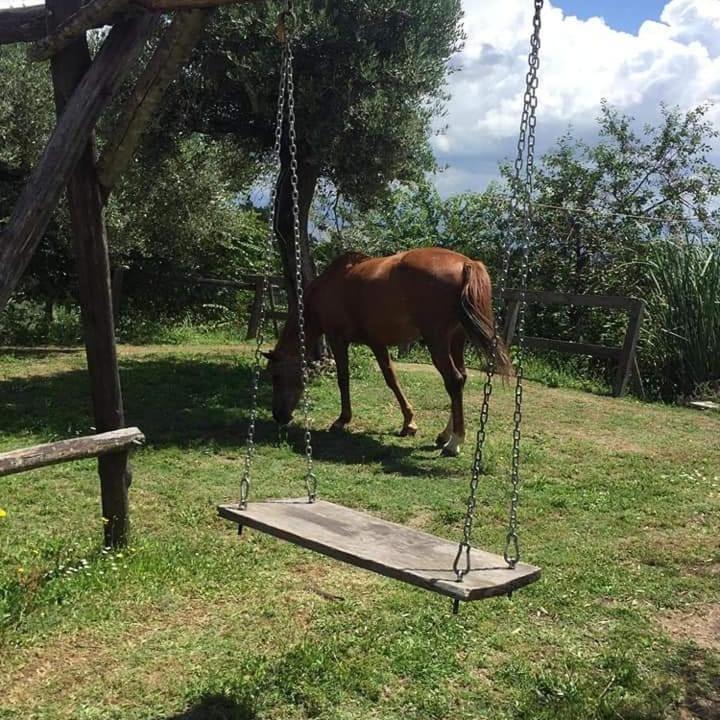 Вилла La Masseriola Agriturismo Caianello Vecchio Экстерьер фото