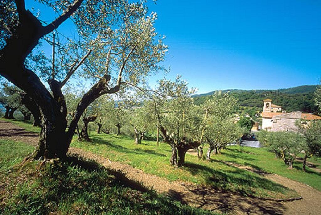 Вилла La Masseriola Agriturismo Caianello Vecchio Экстерьер фото