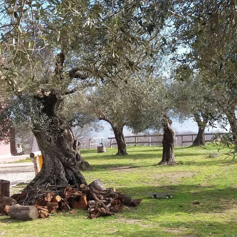 Вилла La Masseriola Agriturismo Caianello Vecchio Экстерьер фото