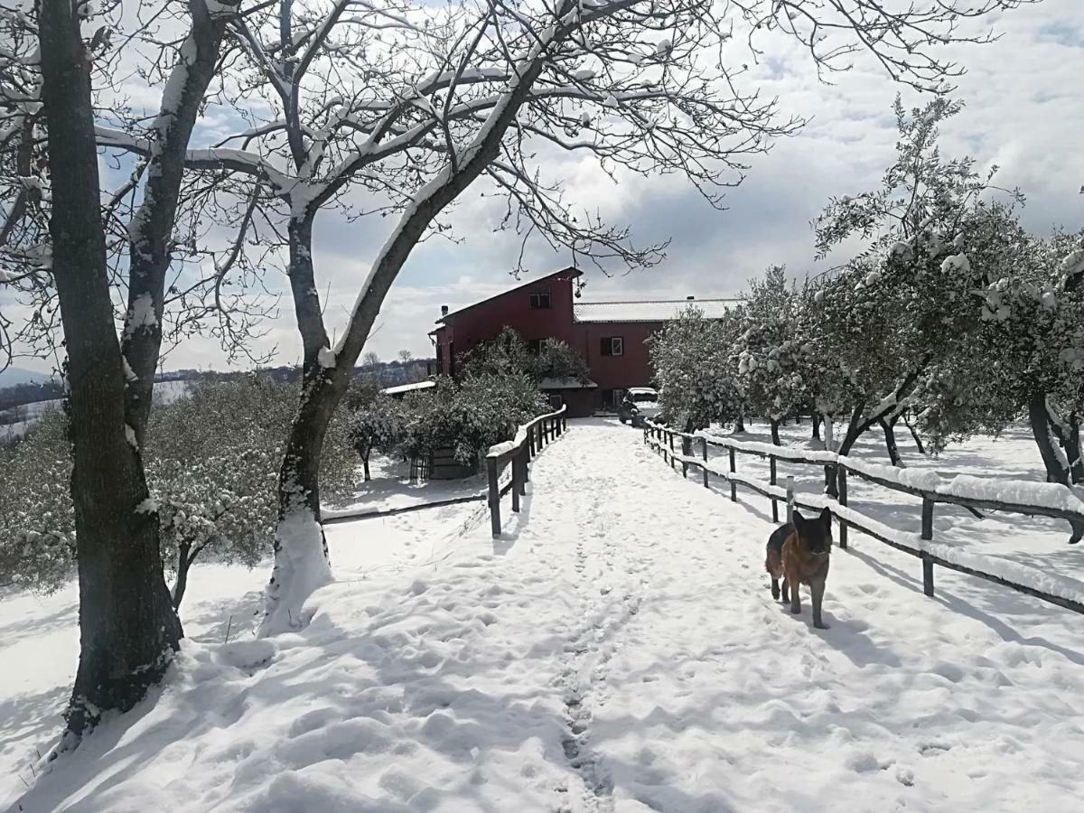 Вилла La Masseriola Agriturismo Caianello Vecchio Экстерьер фото